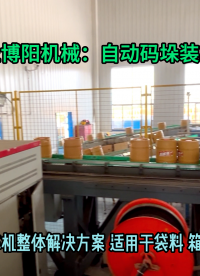 桶裝啤酒全自動(dòng)碼垛機(jī)器人 山東木桶推進(jìn)式全自動(dòng)裝車(chē)機(jī)