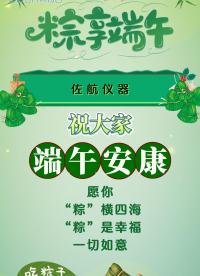 佐航儀器祝大家端午安康 #端午節(jié) #傳統(tǒng)節(jié)日 