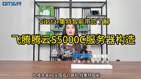 飛騰騰云S5000C服務器構造