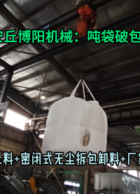 江蘇硫酸鈷噸袋拆包卸料機(jī) 無(wú)塵粉體噸袋拆包設(shè)備按需定制