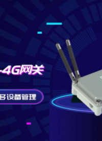 DLS11低功耗LoRa-4G網(wǎng)關(guān) 智能通信終端 雙模傳輸?shù)凸亩嘣O(shè)備管理高效組網(wǎng)