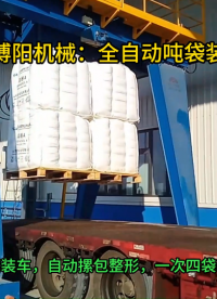 雙酚A全自動噸袋裝車機，定制智能噸袋裝車設備 #全自動噸袋裝車機
#噸袋裝車機
 