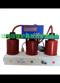 6KV10KV35KV過(guò)電壓保護(hù)器