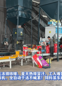冬天凍得哆嗦夏天熱得冒汗工人難留!試試我們的裝車碼垛機全自動干活不喊累!飼料裝車碼垛機東營安裝調試#裝車機
 