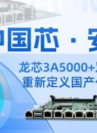 中國芯·安全盾：龍芯3A5000+雙系統支持，重新定義國產化網安方案#工控主板 #網絡安全 #龍芯主板 