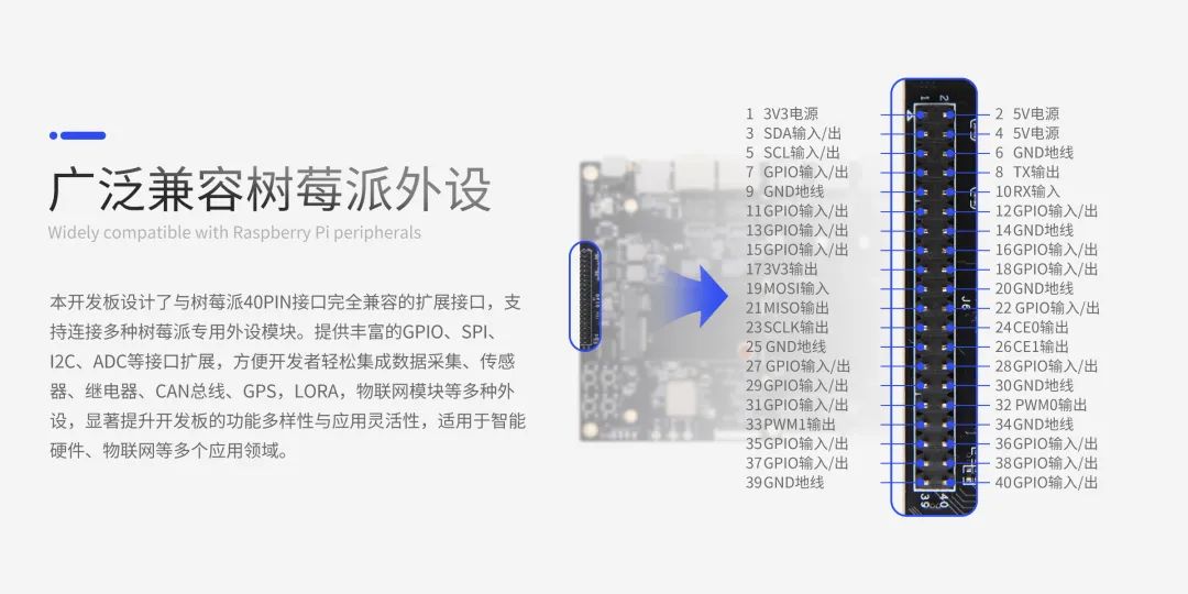 db37ca1c-40ec-11f0-b715-92fbcf53809c.jpg