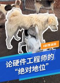 硬件工程師看了只會找個角落默默哭泣#硬件工程師 #MDD #MDD辰達半導體 #產品經理 #軟件工程師 