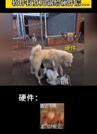 當產線急停全司炸鍋 軟件打算甩鍋給硬件后...#YXC晶振 #揚興科技 