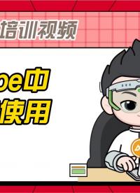 CANape中函數的使用，如利用庫函數、工程函數生成虛擬信號進行在線測量及離線分析，內置功能庫的調用等