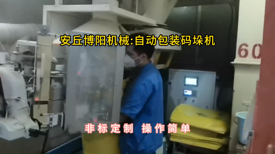 尿素全自動包裝碼垛機，連續式包裝碼垛設備廠家#全自動包裝碼垛機 #
