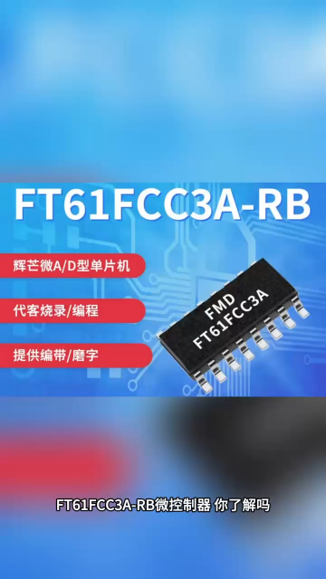 輝芒微單片機FT61FCC3A-RB電子測量儀表表現出色