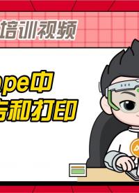 CANape中生成報(bào)告和打印的內(nèi)容，如頁(yè)面視圖模式、導(dǎo)出窗口、報(bào)告模版的定義、圖形文本元素的添加、PDF文件等