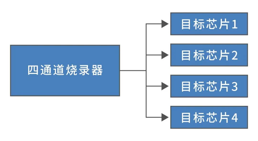 9baecd9e-42b5-11f0-b715-92fbcf53809c.jpg