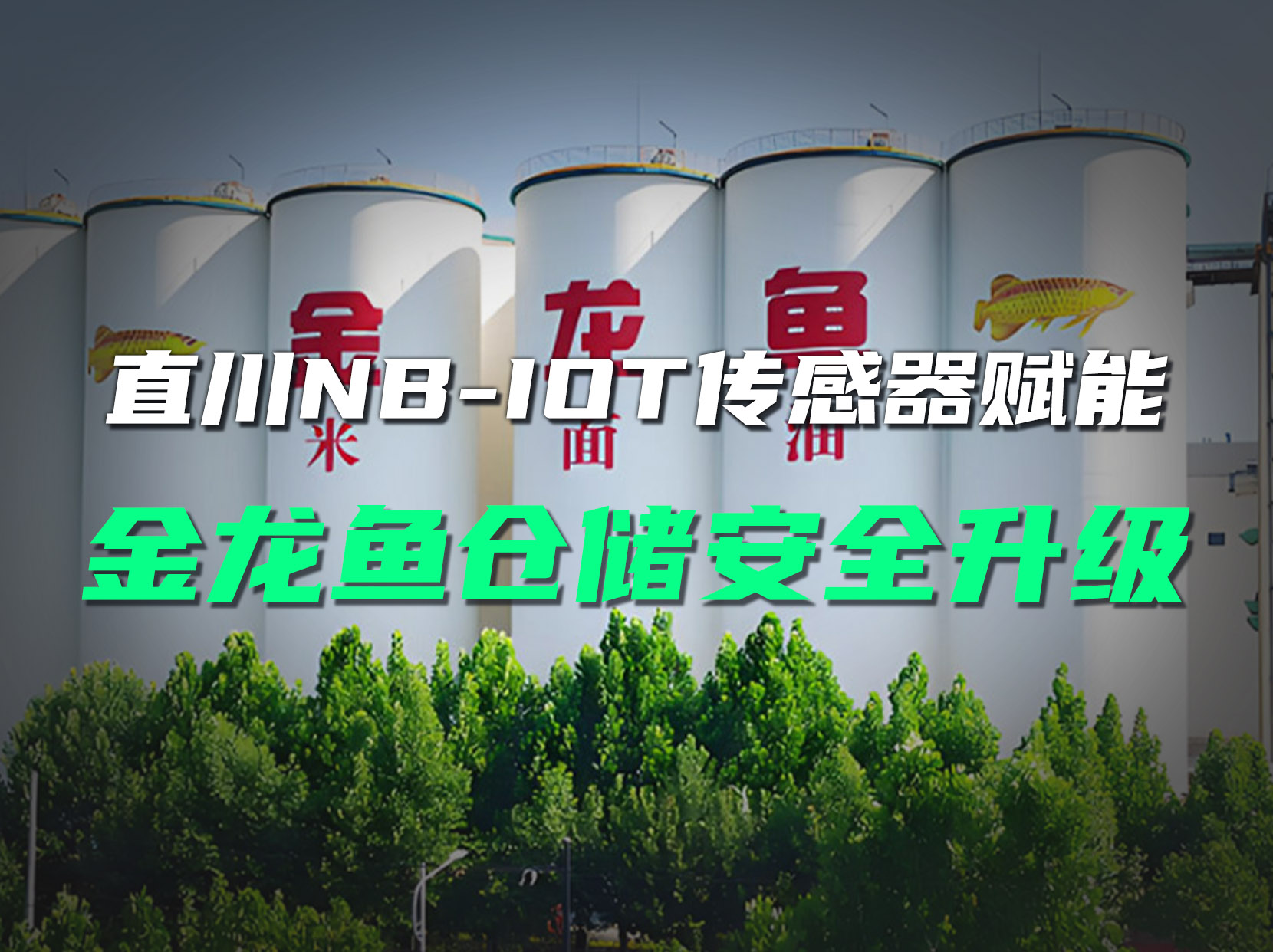 直川科技無線傾角傳感器，守護金龍魚倉庫安全！#貨架監測系統 #貨架傾斜監測 #智慧倉儲 