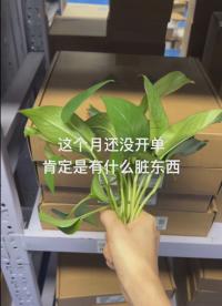 銷售的盡頭是玄學#銷售日常 #電子元器件供應商 #芯片 