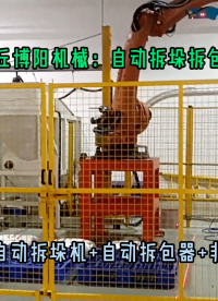 聚丙烯顆粒自動拆袋機械手 25kg顆粒全自動拆垛拆包機器人