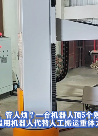 招工难管人烦一台机器人顶5个熟练工不吃不喝不请假砂浆码垛机#立柱码垛机 #砂浆
 
