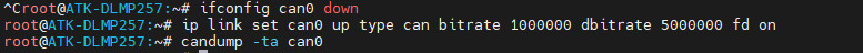 fdcan_test.jpg