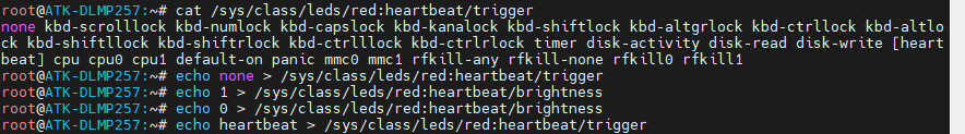 blink_echo.jpg