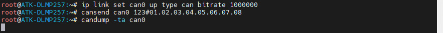can_bus_test.jpg