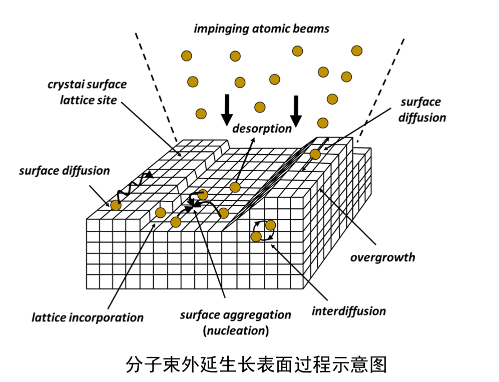 90b72154-4907-11f0-b715-92fbcf53809c.png