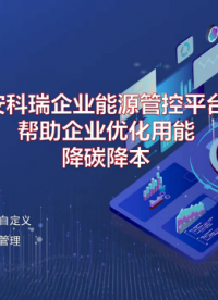 安科瑞企業(yè)能源管控平臺(tái)幫助企業(yè)優(yōu)化用能降碳降本