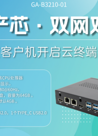 國產芯·雙網雙顯！高能瘦客戶機開啟云終端新紀元#工控主板 #工控機 #國產芯片 #飛騰主板 #智能制造 