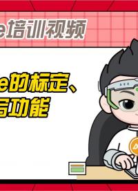 CANape培訓(xùn)視頻 |CANape的標(biāo)定、刷寫功能#CANape 