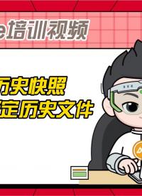 CANape的標(biāo)定歷史快照及生成標(biāo)定歷史文件，如標(biāo)定歷史的快照的啟動(dòng)、數(shù)據(jù)的查看、參數(shù)及文件的合并、標(biāo)定等 