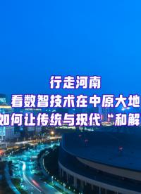 暴走河南，我們發(fā)現(xiàn)了哪些堪稱寶藏的數(shù)智化案例？