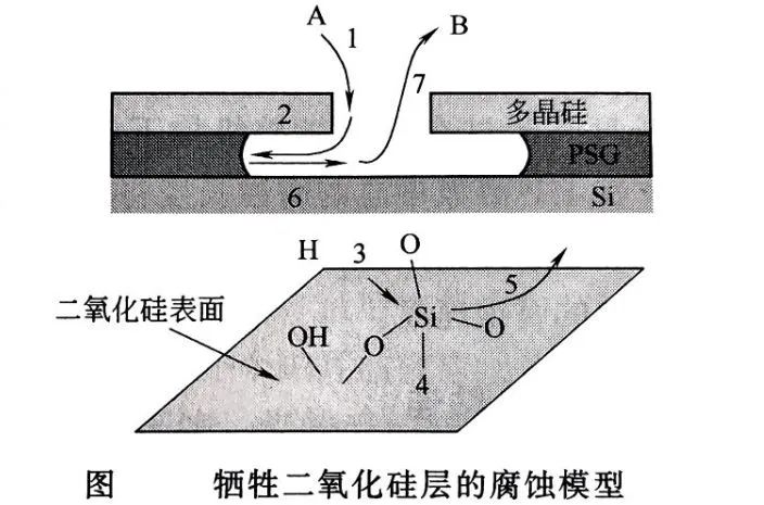 bd01c3b4-4f50-11f0-b715-92fbcf53809c.jpg