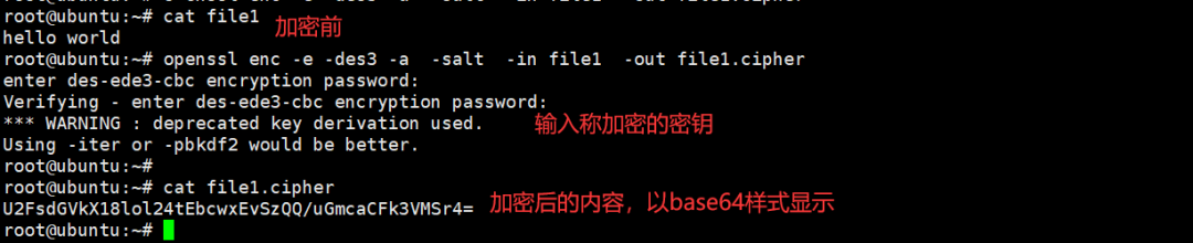 ca75d282-4f6a-11f0-b715-92fbcf53809c.png