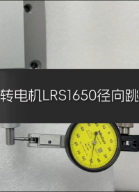 國奧科技ZR電機LRS1650徑向跳動測試優(yōu)于±1μm 
#
 