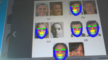 face-labdmark2.jpg