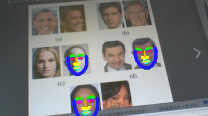 face-labdmark1.jpg