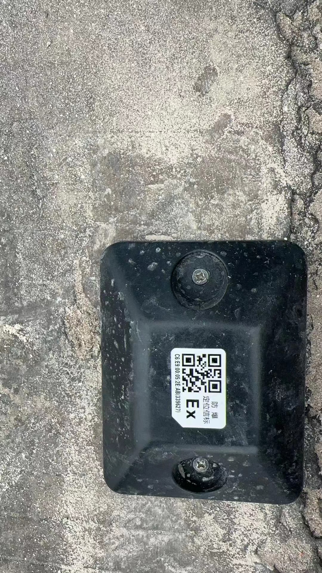 wKgZPGhjnmyABnTXAA5v0-B2eu0790.png