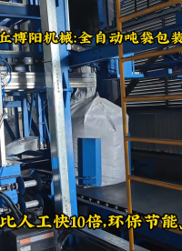 東營(yíng)全自動(dòng)噸袋包裝稱應(yīng)用、純堿智能噸袋包裝系統(tǒng)# 