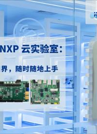 恩智浦云實驗室介紹與 S32K312 開發板測試操作說明手冊# 