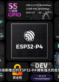 一款基于 ESP32-P4，集成正逆運動學解算、圖像識別、語言喚醒、同步示教功能于一體的智能設備#人工智能 