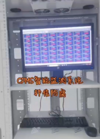 海上風機基礎導管架陰極保護監測(CPMS)系統