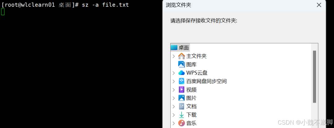 2626ffe6-5413-11f0-b715-92fbcf53809c.png