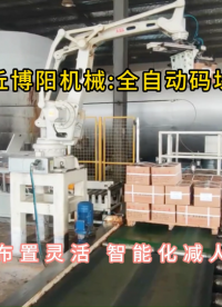 機械手碼垛機廠家定制，工業(yè)鹽碼垛機器人廠家定制#全自動碼垛機 #