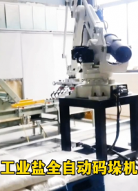 山東本森智能裝備    袋裝工業鹽全自動碼垛機器人   智能化控制#碼垛機器人
 