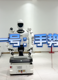 人形機(jī)器人手勢(shì)動(dòng)作 #人形機(jī)器人 #工業(yè)機(jī)器人 #智能機(jī)器人 