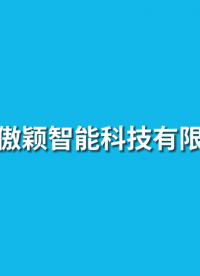 傲穎 AY-Z150-口咽通氣道內(nèi)腔暢通實(shí)驗(yàn)儀YY/T0977-2016-