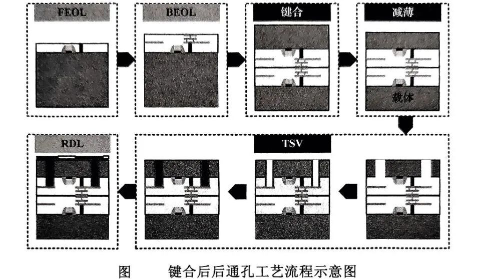 bc5eb76c-572c-11f0-baa5-92fbcf53809c.jpg