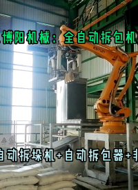 純堿全自動拆包機器人 堿粉自動拆垛拆包機械手廠家