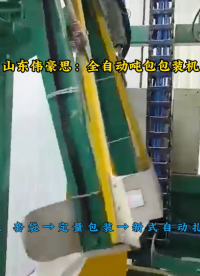 純堿噸袋全自動包裝秤，四川全自動噸包包裝線視頻
