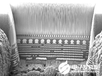 a4d8e790eee04a2b840b0c49dd19f947~tplv-tt-shrink:640:0.image?lk3s=06827d14&traceid=2025071016523160320A45F6AFF1072043&x-expires=2147483647&x-signature=4qPBaw53ASLL%2FTLFPSkyszseeWE%3D