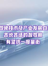 《汽車智能駕駛技術(shù)及產(chǎn)業(yè)發(fā)展白皮書》終于來了！華為乾崑給智駕產(chǎn)業(yè)“開視野”！